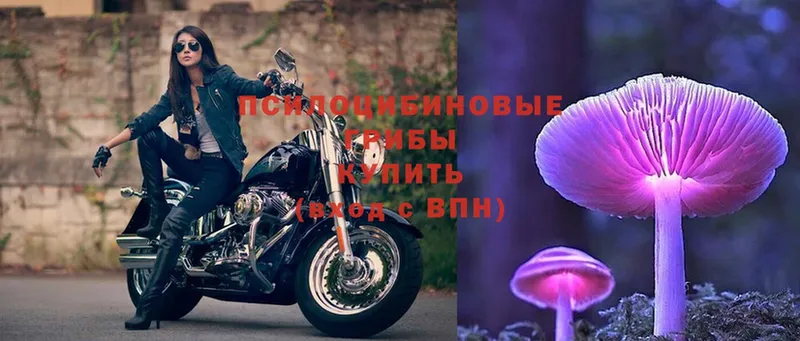 где найти наркотики  OMG как войти  Галлюциногенные грибы MAGIC MUSHROOMS  Карпинск 